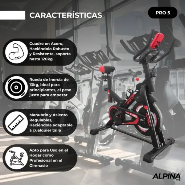 Bicicleta Fija Alpina 5 Profesional Spinning 13 Kg Monoshock - Image 2